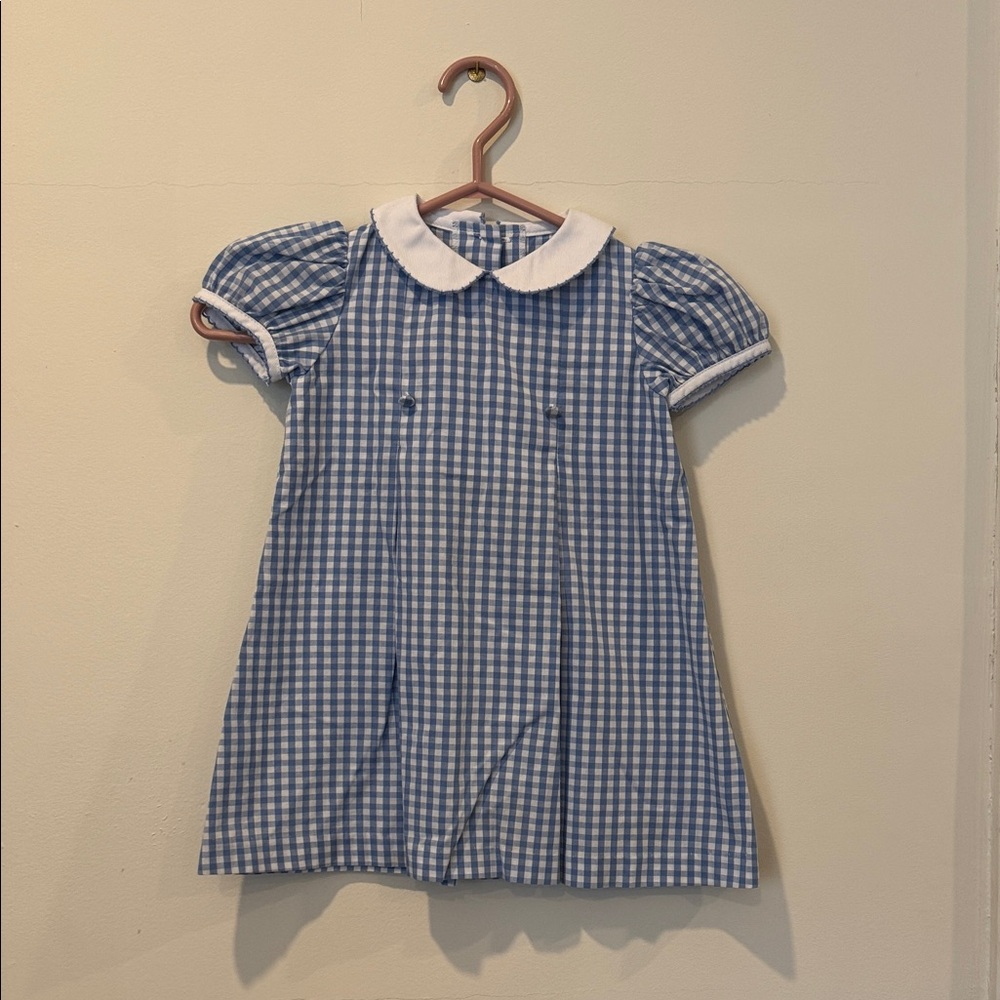 Blue Gingham Dress with White Collar